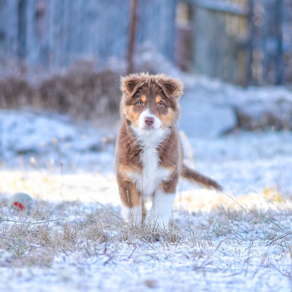 Photo 2737289
