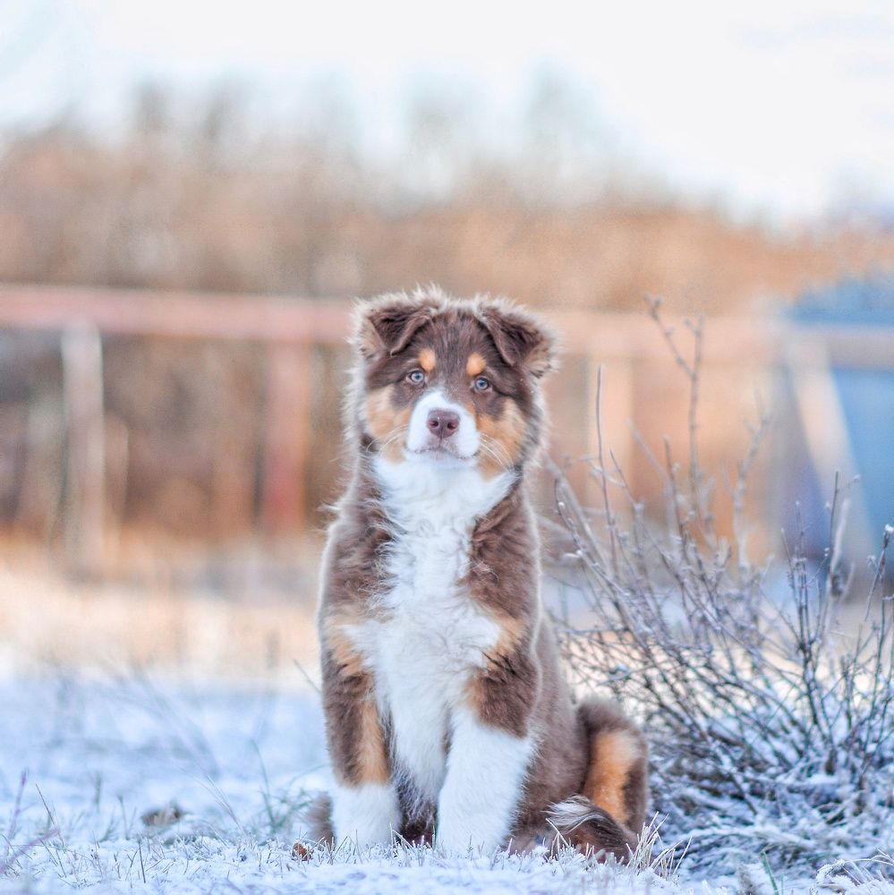 Photo 2737292