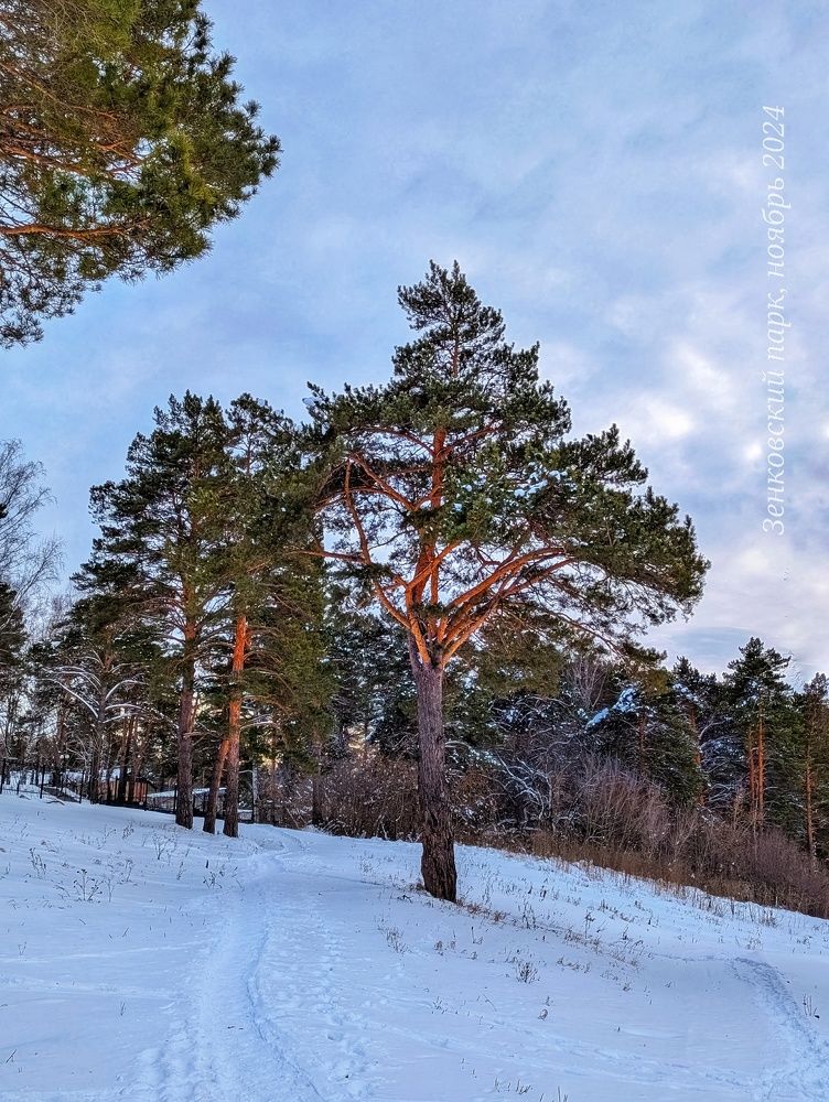 Почти зимний закат