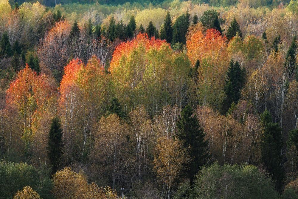 Волшебные краски осени