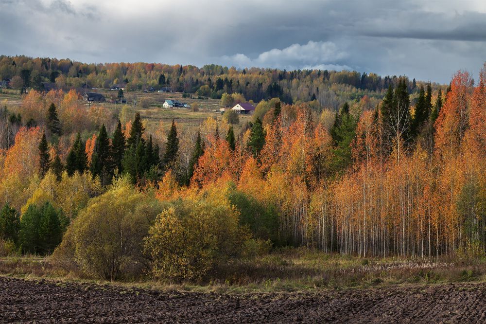 Волшебные краски осени
