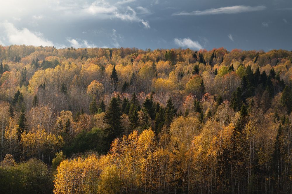 Волшебные краски осени