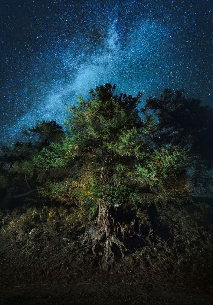 Пейзажи Казахстана