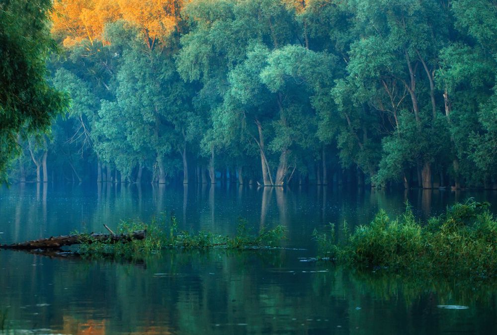 Пейзажи Казахстана