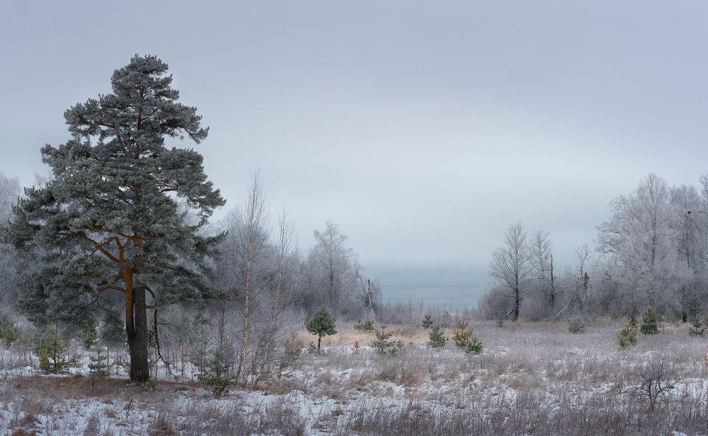 Предзимье.