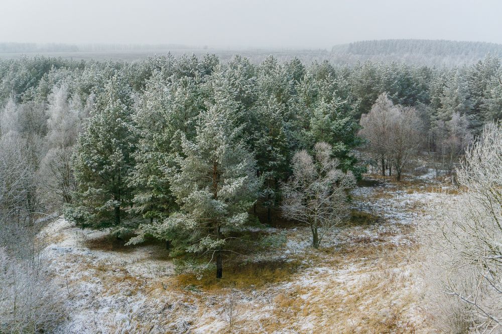 Предзимье.