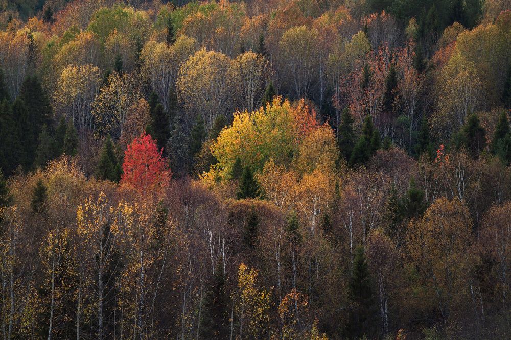 Photo 2739224