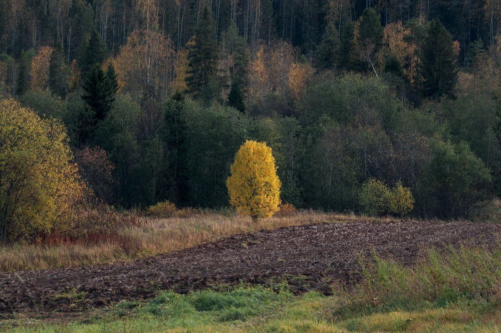 Photo 2739226