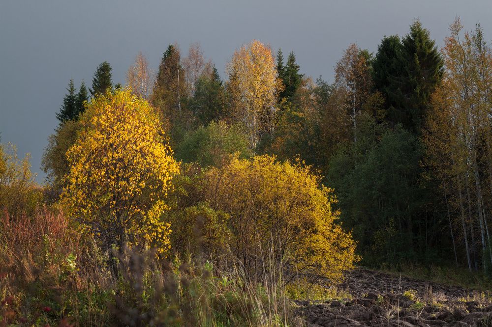 Photo 2739227