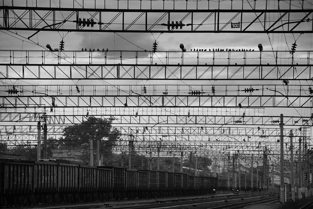 lines