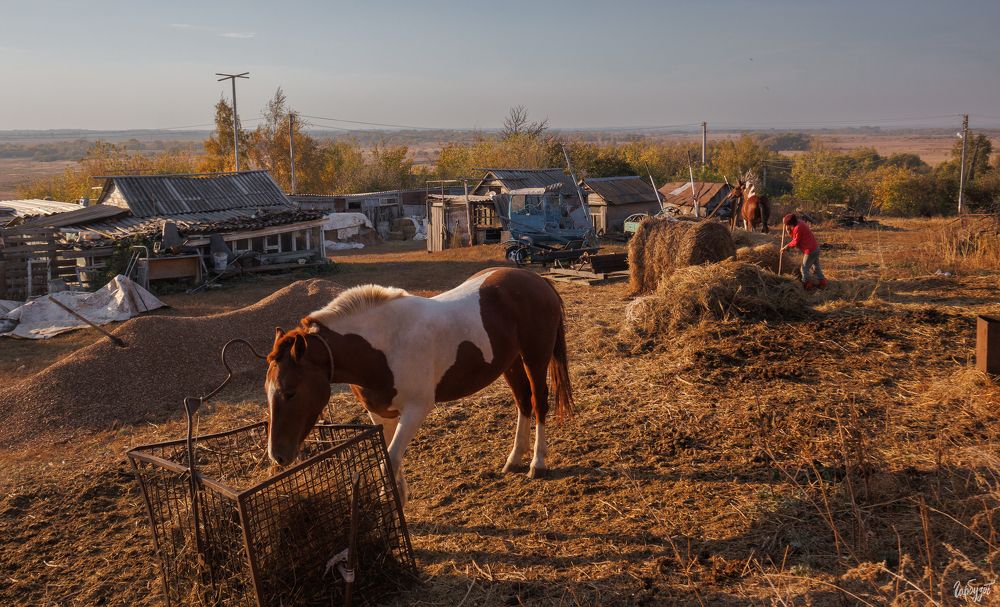 Епифань непарадная