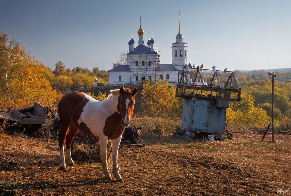 Епифань непарадная
