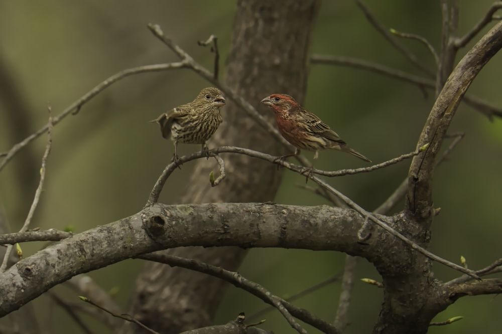 Photo 2740752