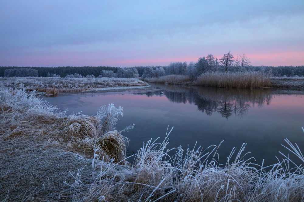 Photo 2742776