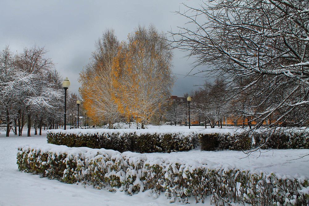 Photo 2743491