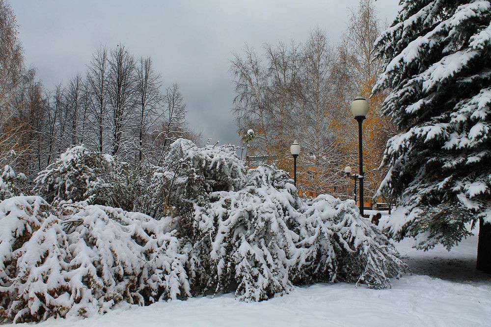 Photo 2743492