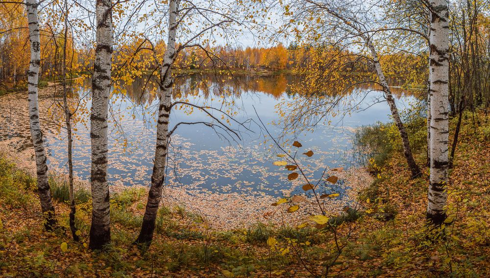 Photo 2744387