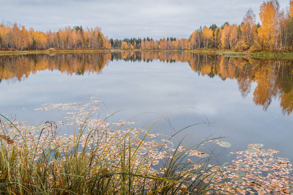 Photo 2744388