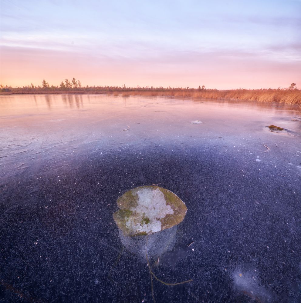 Photo 2744483