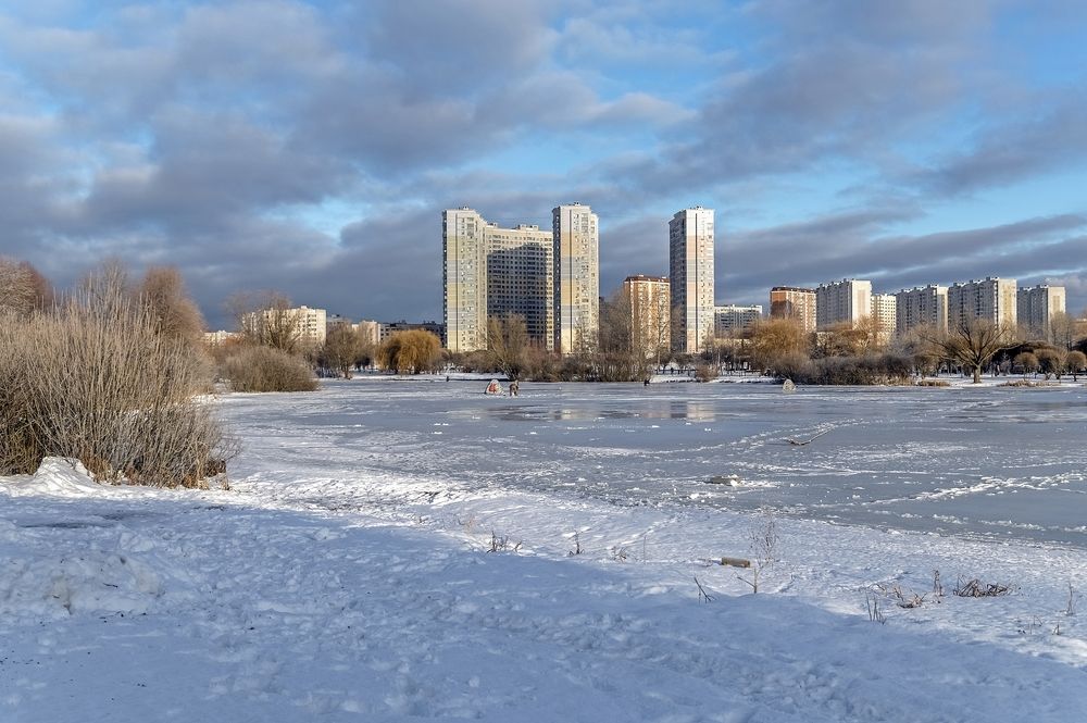 На замерзшем пруду