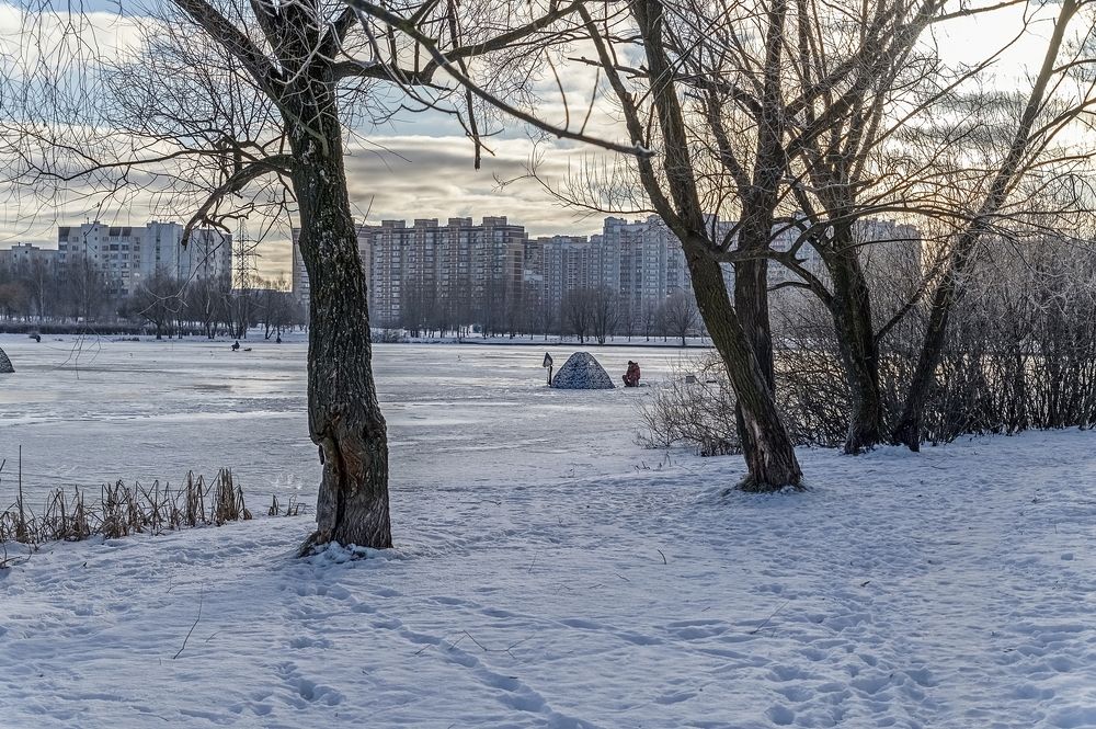 На замерзшем пруду