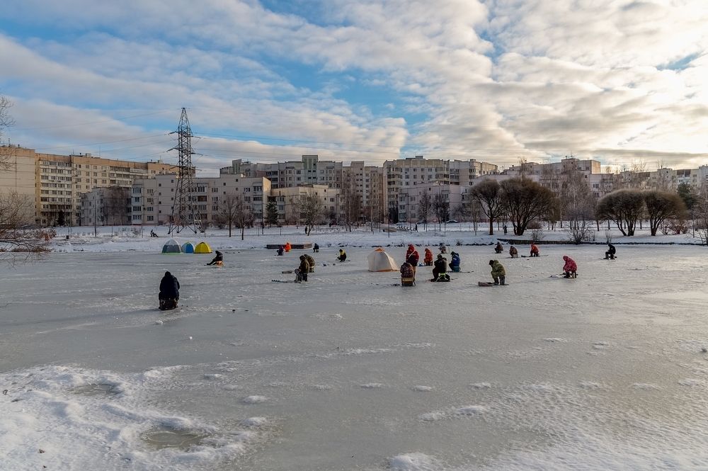 На замерзшем пруду