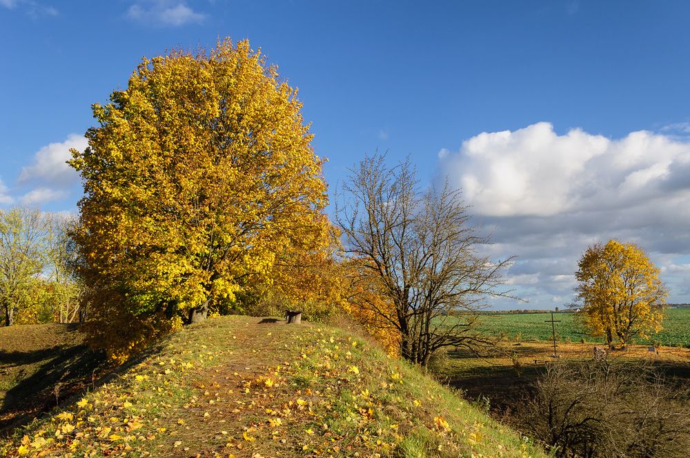 Photo 2747584