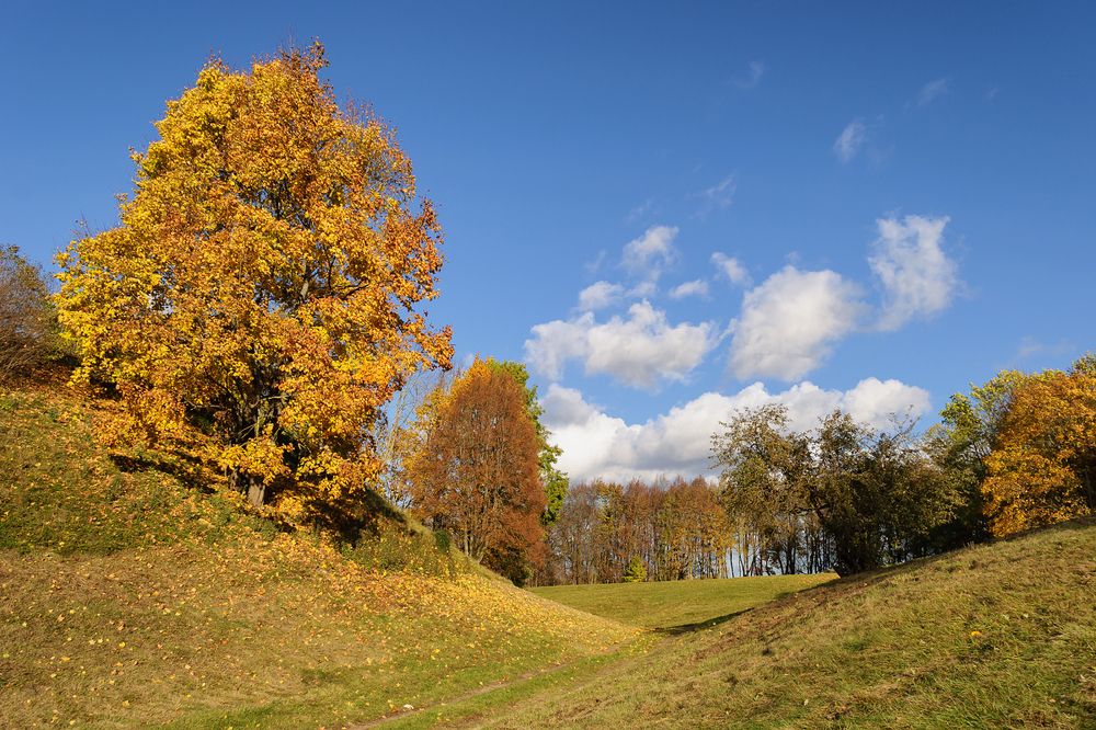 Photo 2747587