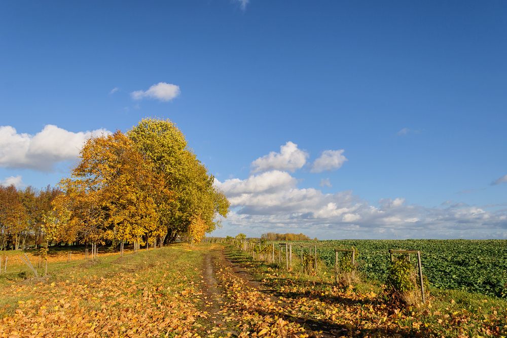 Photo 2747588