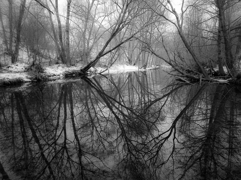 Photo 2747623