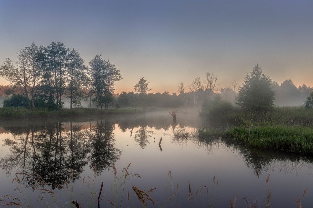 Photo 2749334