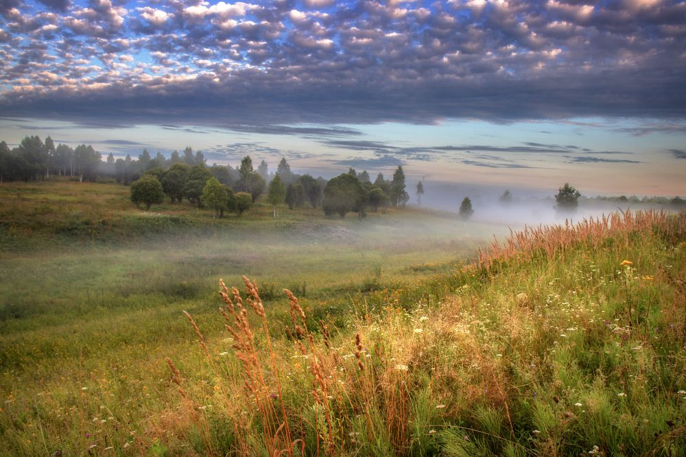 Photo 2749337