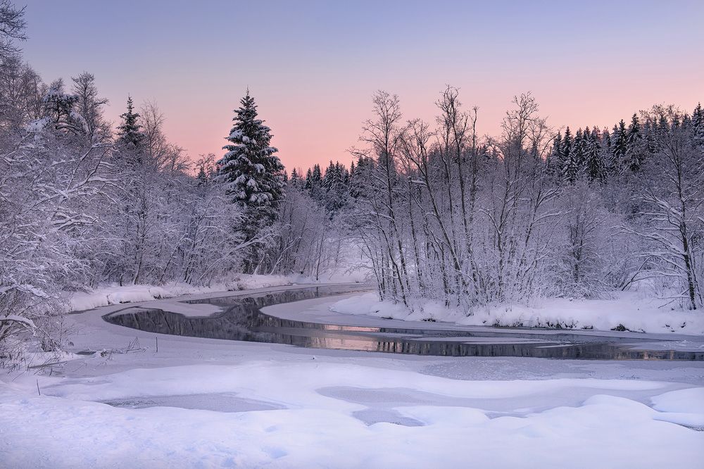 Photo 2752890