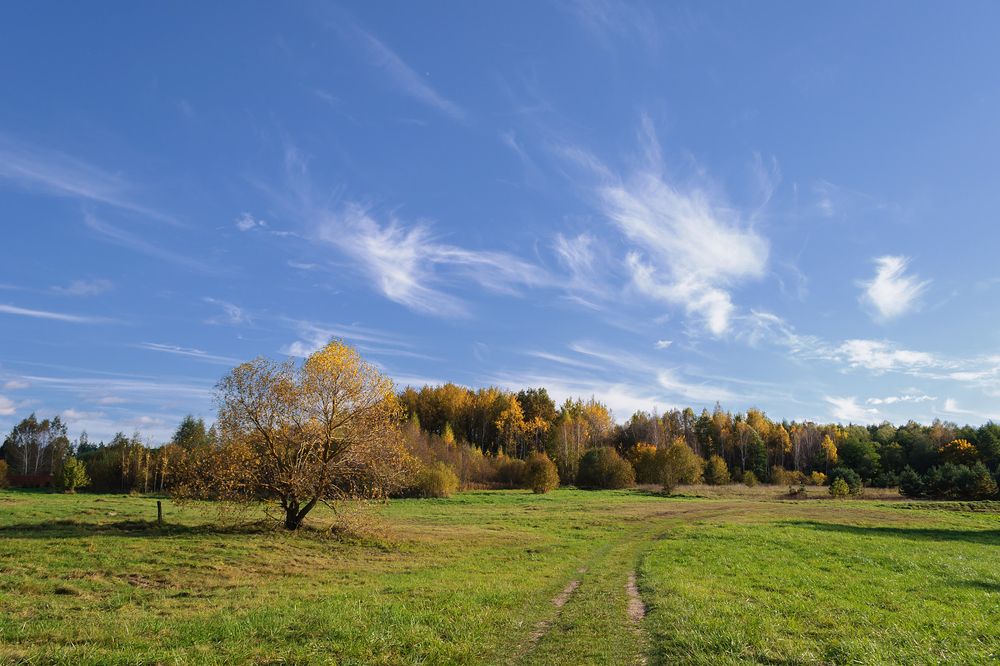 Один осенний день за городом. Фотопрогулка.