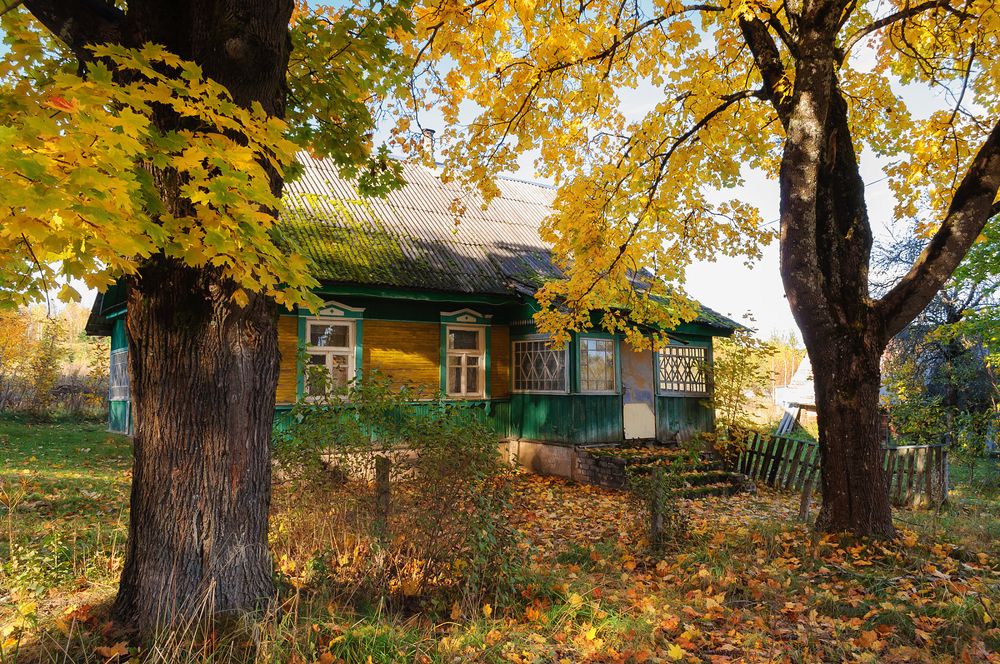 Один осенний день за городом. Фотопрогулка.
