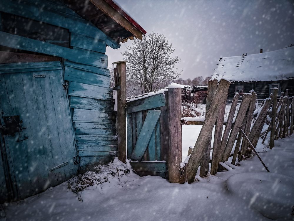 Заброшенные дома в селе Вины, Новгородская область
