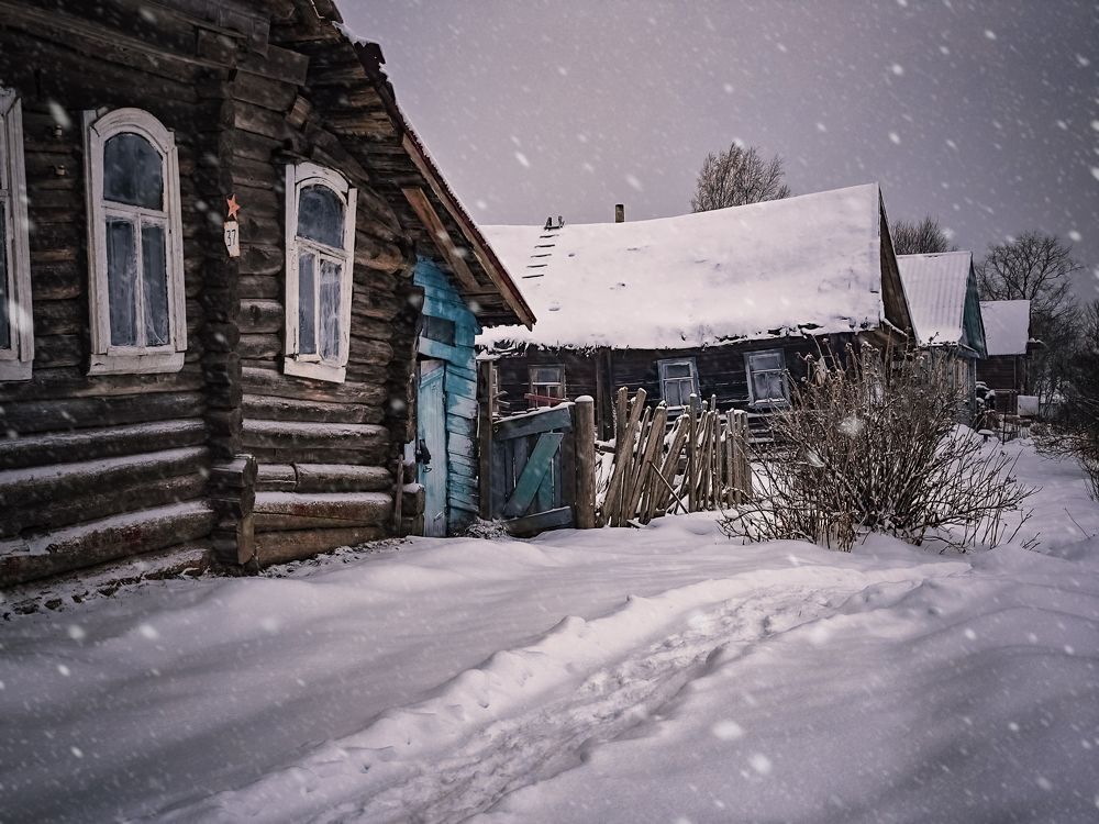Заброшенные дома в селе Вины, Новгородская область