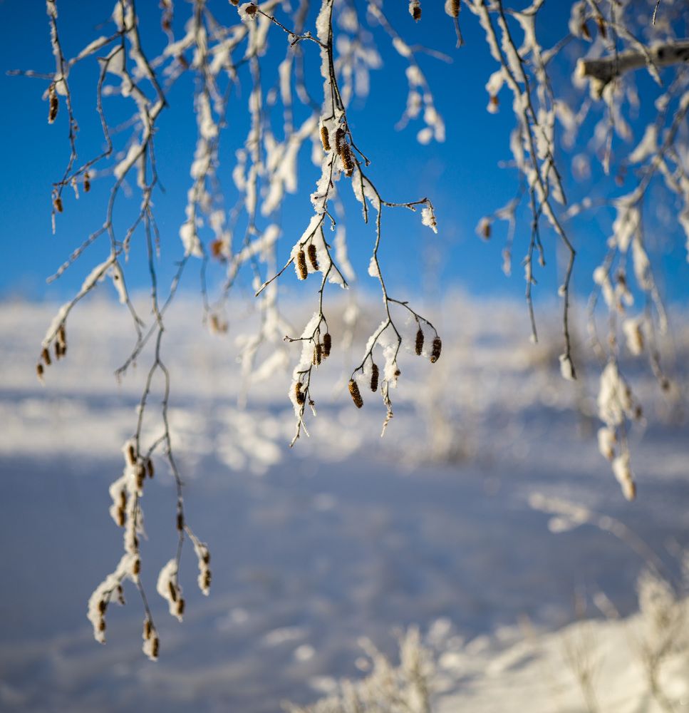Photo 2754490