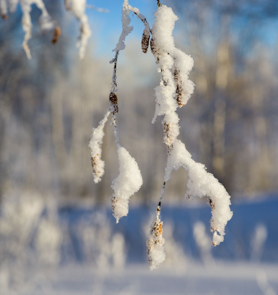 Photo 2754491