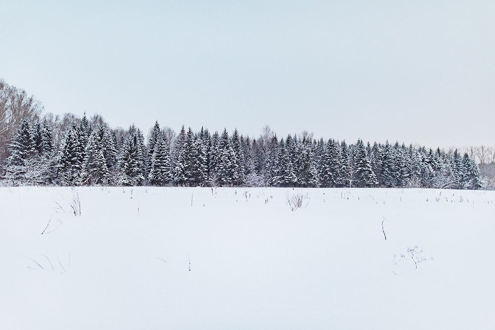 Базилеевка