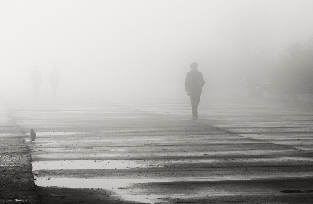 Легенды туманного декабря.