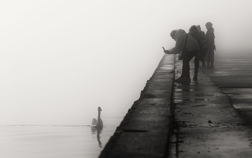 Атмосферная фотосессия.