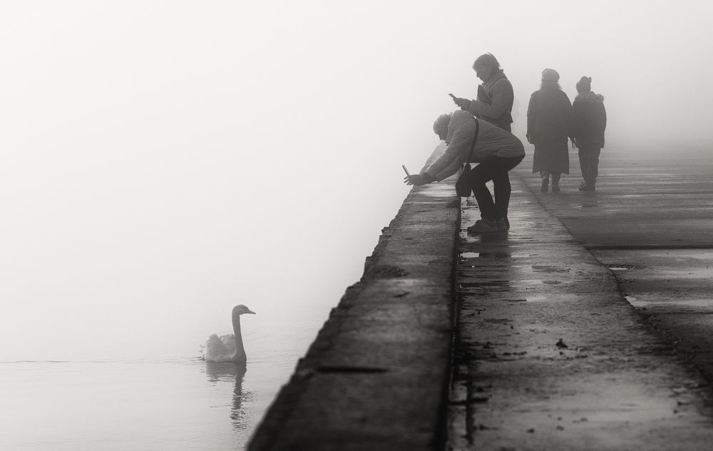 Атмосферная фотосессия.