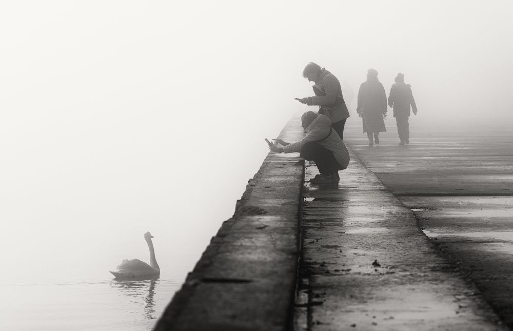 Атмосферная фотосессия.