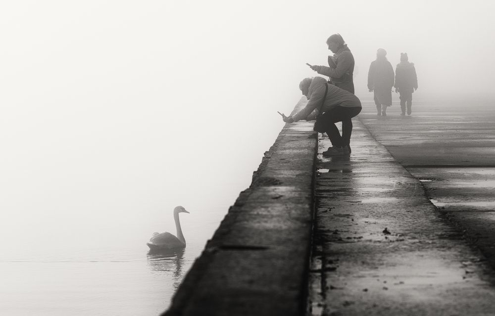 Атмосферная фотосессия.