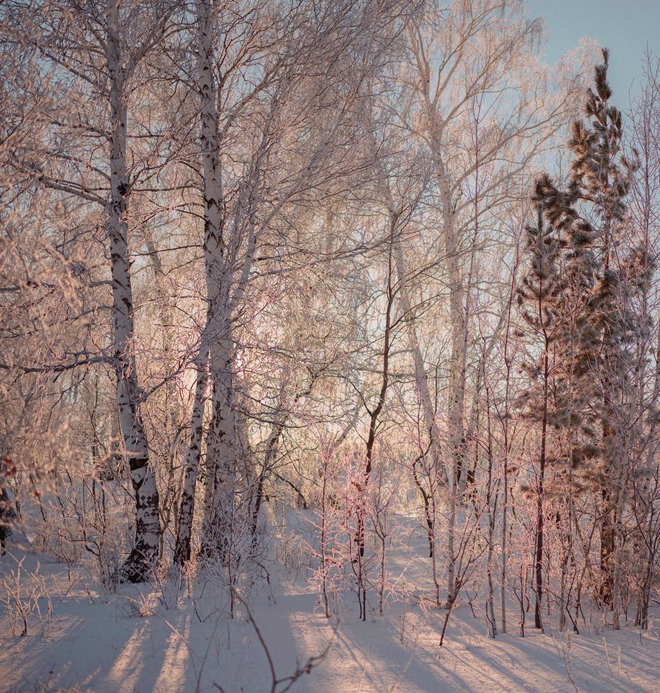 Photo 2757577
