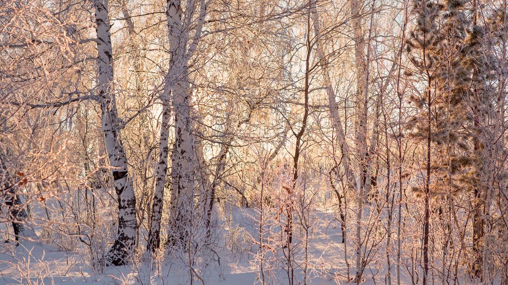 Photo 2757578