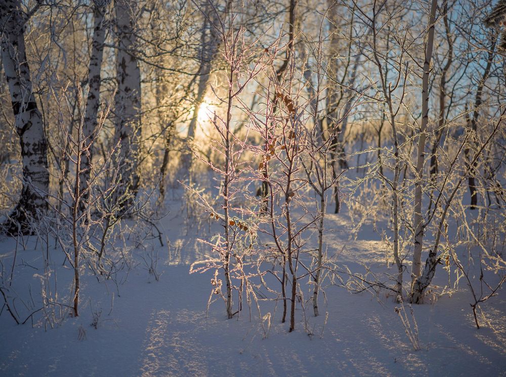 Photo 2757579