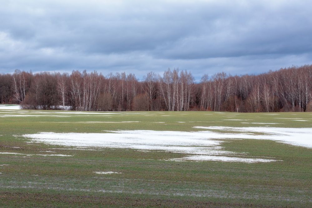 Бесснежная зима. Тульская область
