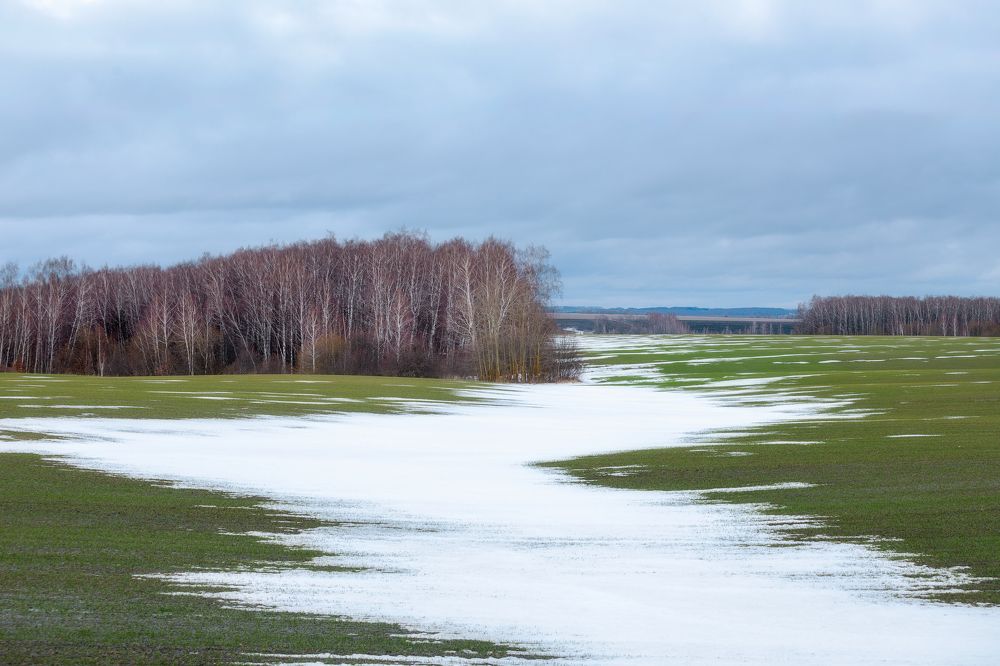 Бесснежная зима. Тульская область